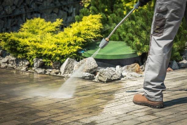 Best Solar Panel Cleaning  in Cloverdale, IN