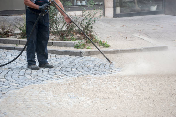 Best Dumpster Area Cleaning  in Cloverdale, IN
